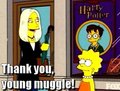 The Simpsons - harry-potter photo