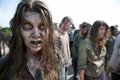 The Walking Dead - Season 2 - Promotional Photos - the-walking-dead photo