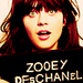 Zooey D. <3 - zooey-deschanel icon