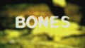 bones - 6x02 - The Couple in the Cave screencap