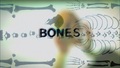 bones - 6x06 - The Shallow in the Deep screencap