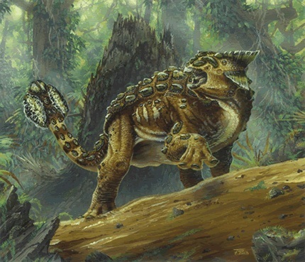  Ankylosaurus