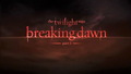 Breaking Dawn part 1 wallpaper - twilight-series wallpaper