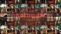 twilight-series - Breaking Dawn part 1 wallpaper wallpaper