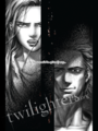 Exclusive Pics Twilight Graphic Novel On iPad! - twilight-series photo