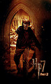 Harry Potter and the Deathly Hallows: Part 2, 2011 - harry-potter photo