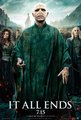 Harry Potter and the Deathly Hallows - Part 2 Posters and Banners - harry-potter photo