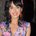 Katy Perry - katy-perry icon