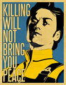 Killing Will Not Bring You Peace - charles-and-erik photo