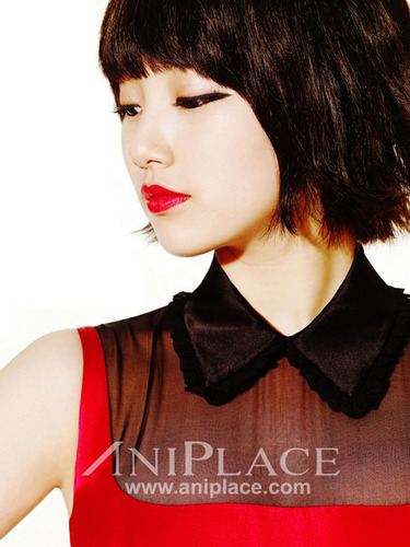 Suzy for Aniplace