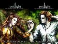 Twilight Graphic novel volume 1 & 2 - twilight-series photo