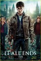 'Harry Potter & The Deathly Hallows Part II' New Poster! - harry-potter photo