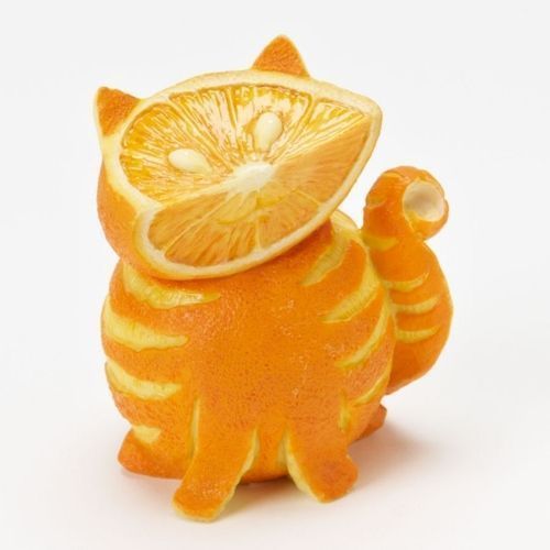 -Orange Cat-