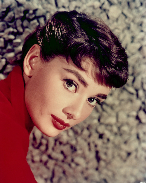 Audrey durng the filming of Sabrina 1954