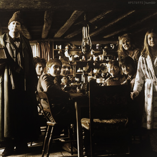  The Weasley's & Harry :))