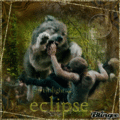 Eclipse Werewolves - twilight-series photo