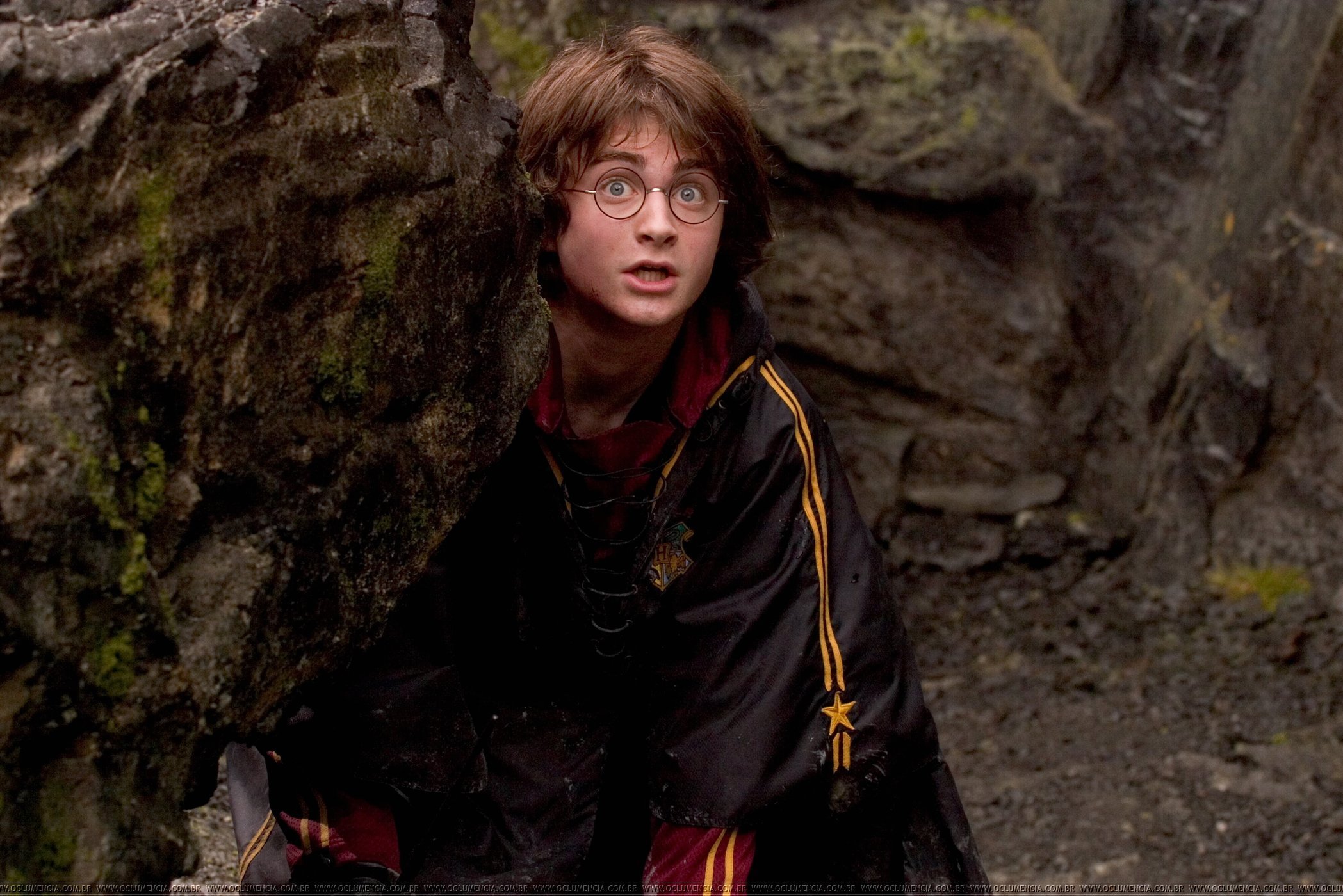 From Goblet of Fire - Harry James Potter Photo (22935005) - Fanpop