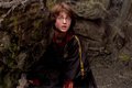 From Goblet of Fire - harry-potter photo