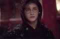 Harry Potter and the Prisoner of Azkaban  - harry-potter photo