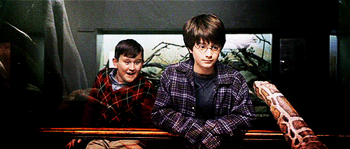 Harry Potter ~~