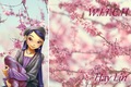 Hay Lin's Sakura Tree - witch photo