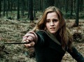 Hermione (DH) - hermione-granger photo