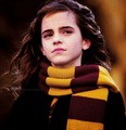 Hermione Granger  - hermione-granger fan art