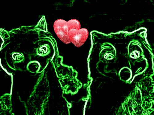  Kate & Humphrey प्यार Neon