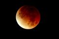 Lunar Eclipse - moon photo