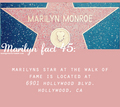 Marilyn Facts - marilyn-monroe fan art