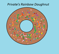 Private's Rainbow Doughnut - fans-of-pom photo