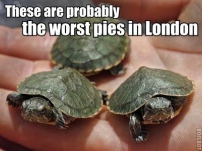  The worst pies in 伦敦