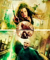 Voldemort/Bellatrix - harry-potter photo