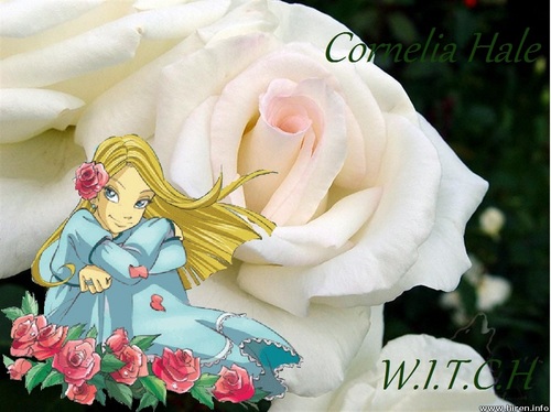  Cornelia Hale Rose Princess