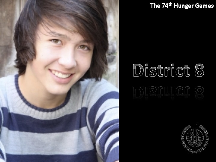 The Hunger Games District