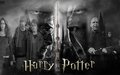 Harry Freaking Potter - harry-potter photo