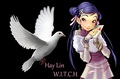 Hay Lin's Messenger Bird - witch photo