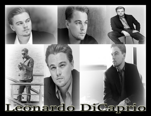  Leonardo DiCaprio