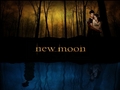 twilight-series - New Moon wallpaper wallpaper