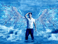 Taylor Lautner (jacob Black) - new-moon-movie fan art