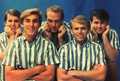 The Beach Boys - music photo