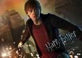 Deathly Hallows VG Wallpaper - harry-potter photo