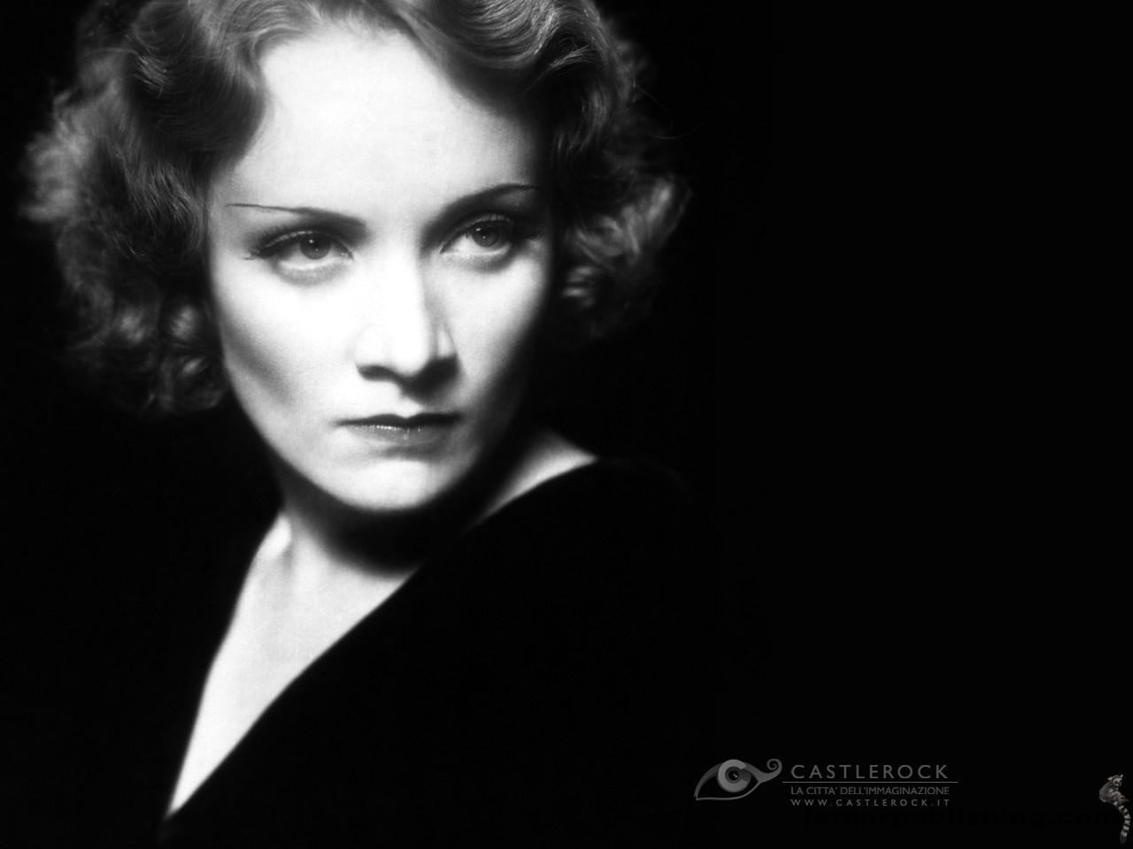 Marlene Dietrich - Gallery