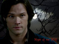 supernatural - Night of the Wolf wallpaper