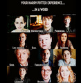 One Word ... - harry-potter photo