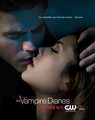 Stefan and Elena - the-vampire-diaries-couples photo