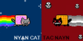 Tac Nyan vs Nyan Cat - nyan-cat photo