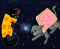 Tac Nyan vs Nyan cat >:) - nyan-cat photo