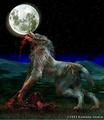 demon wolf pack, Rage - alpha-and-omega fan art