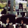 the only king - michael-jackson photo
